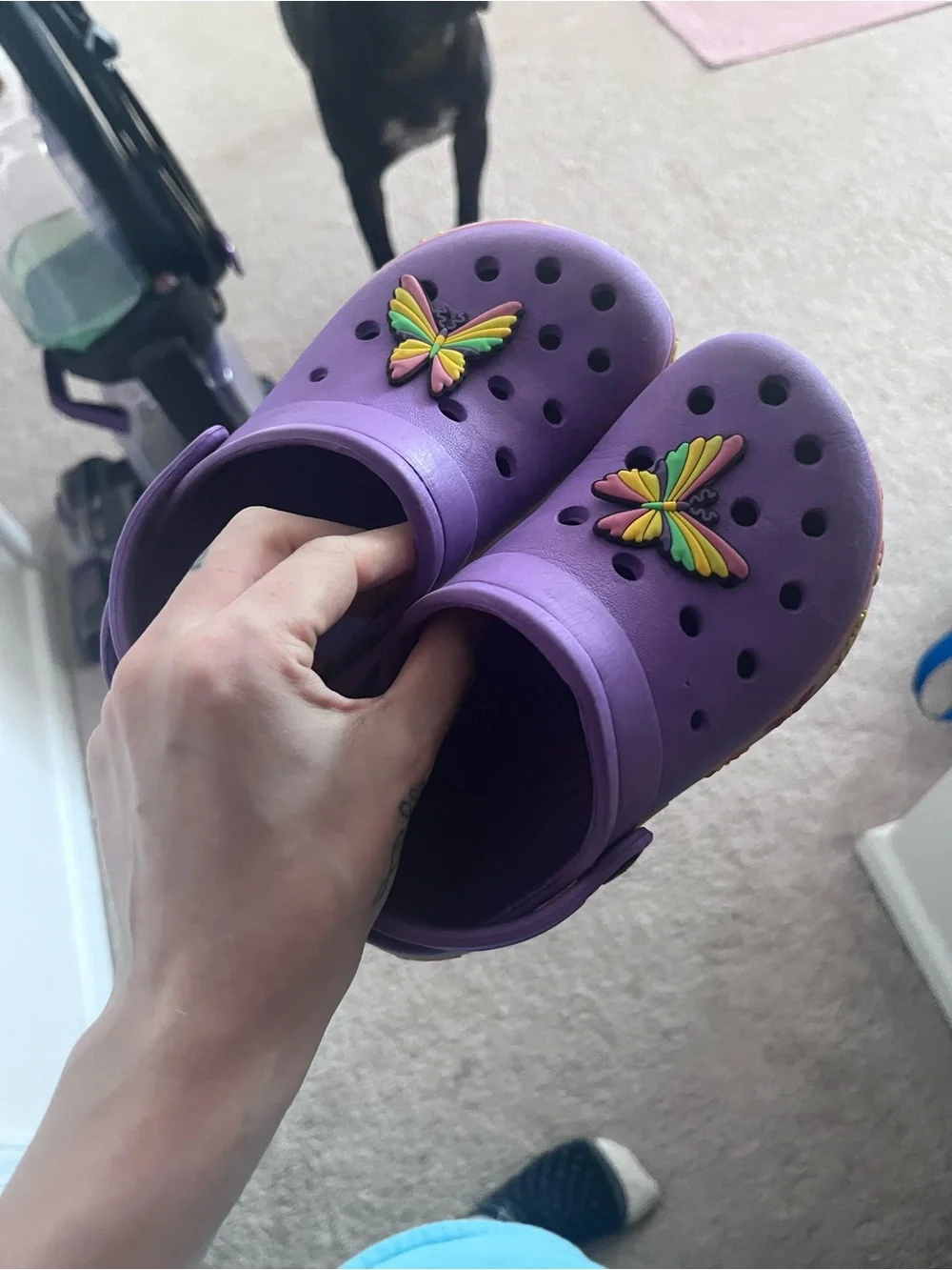 Kids Purple Slip-On Clogs with Rainbow Butterfly Charm